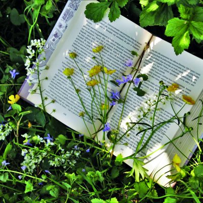Literatura na vrtu