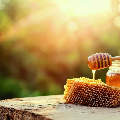 Schnupperkurs Imkerei: Einstieg in die Welt der Bienen