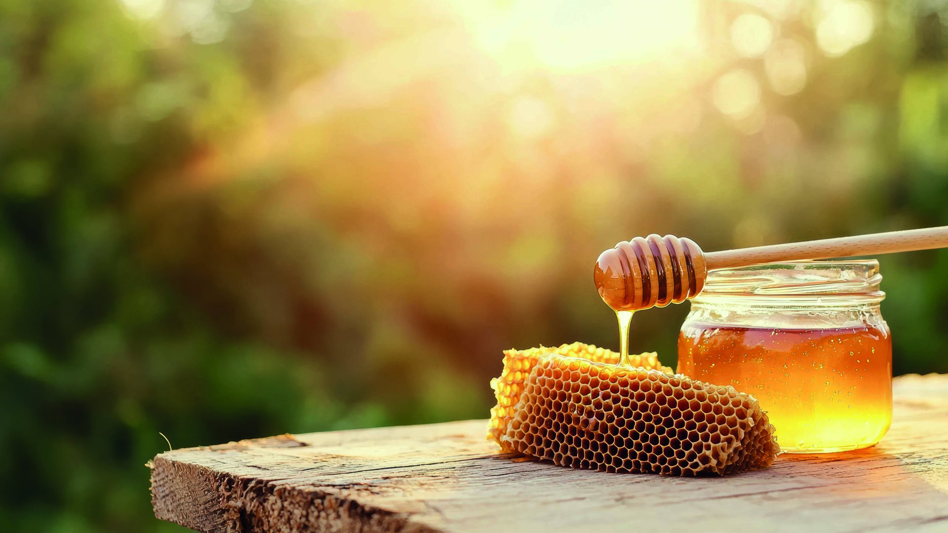 Schnupperkurs Imkerei: Einstieg in die Welt der Bienen