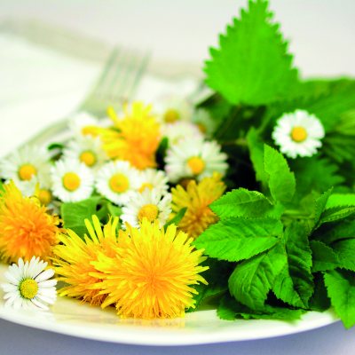 Grüne Frühjahrskuren