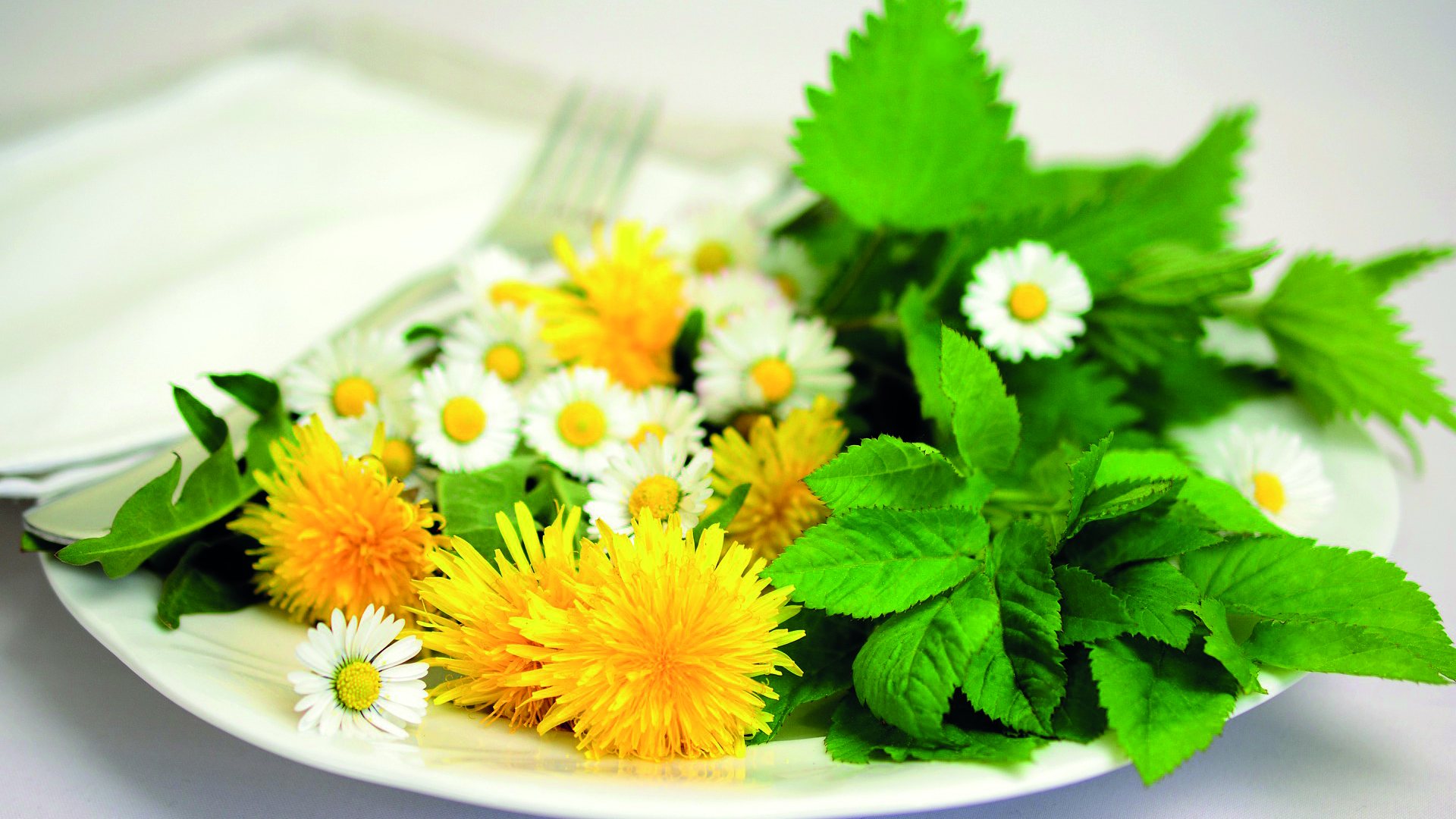 Grüne Frühjahrskuren