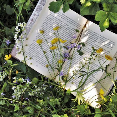 Literatura na vrtu