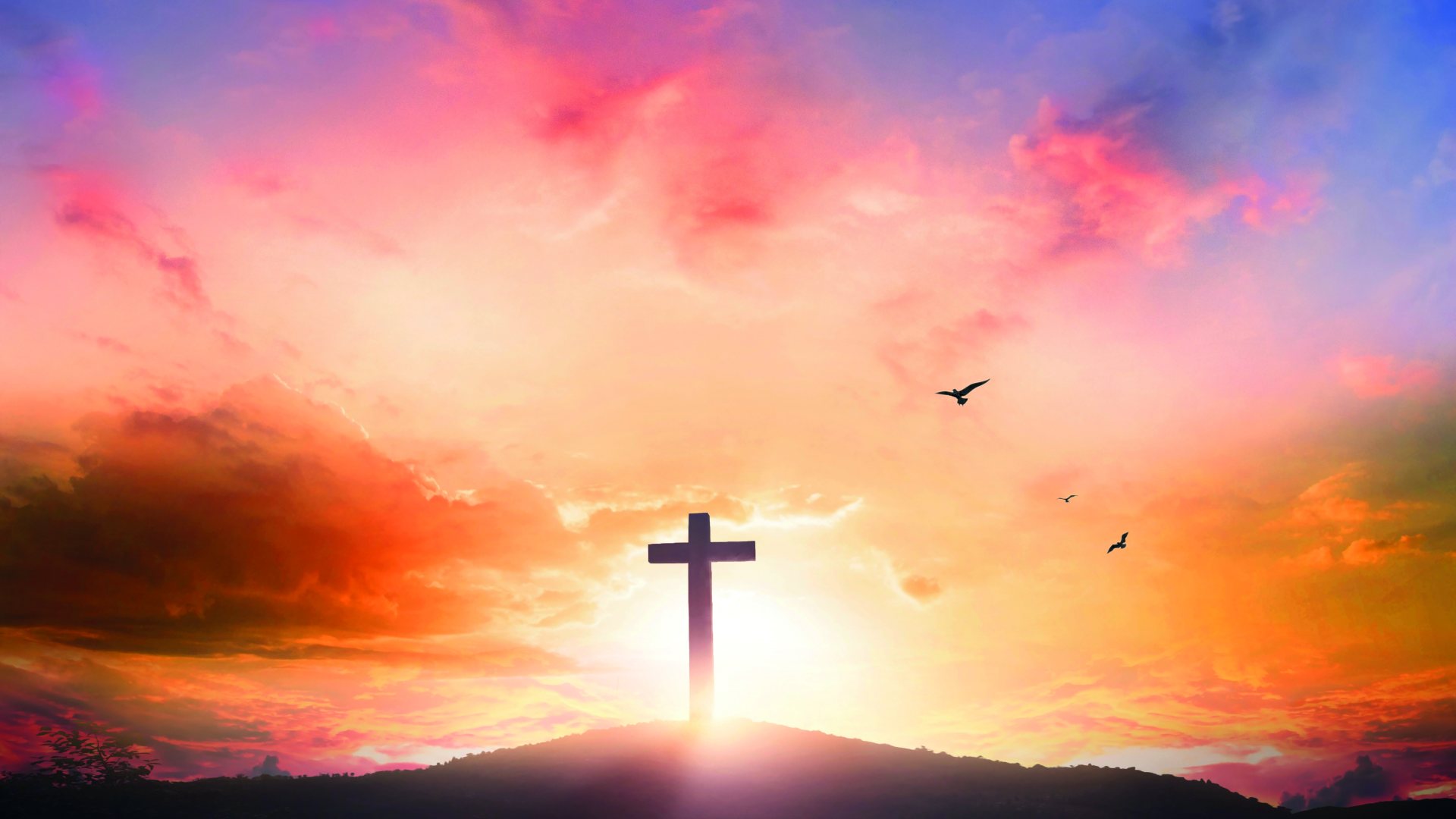 Konzert “Betrachte meine Seele” Thomas Widrich