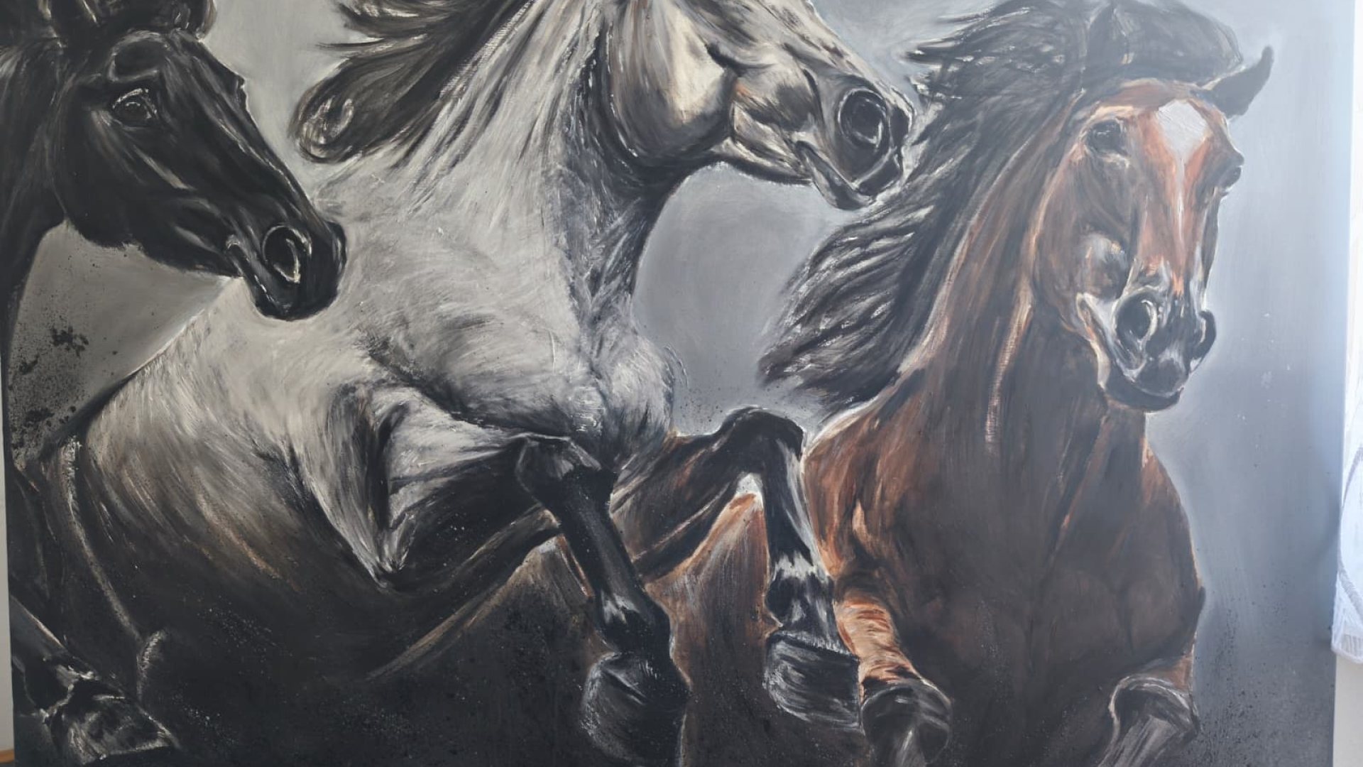 Ausstellung/razstava: Asmira Kremenovič & Manuela Micheuz “Schwarzweiss und Farbe im Dialog”